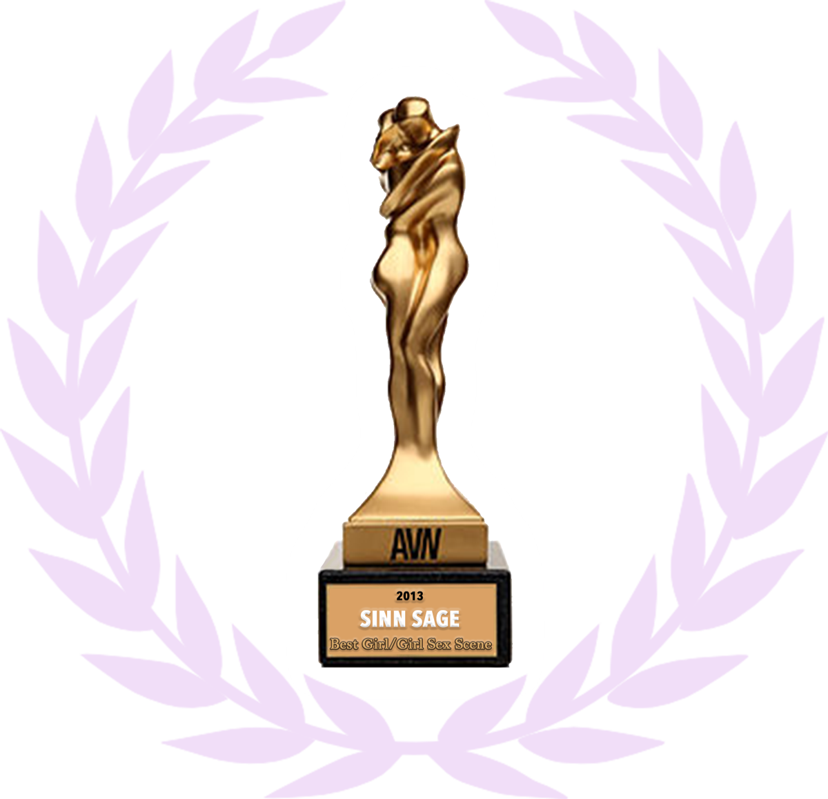2013 AVN Award